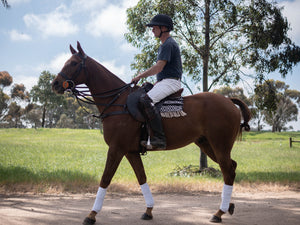 Bombers Polo Wraps - Black or White