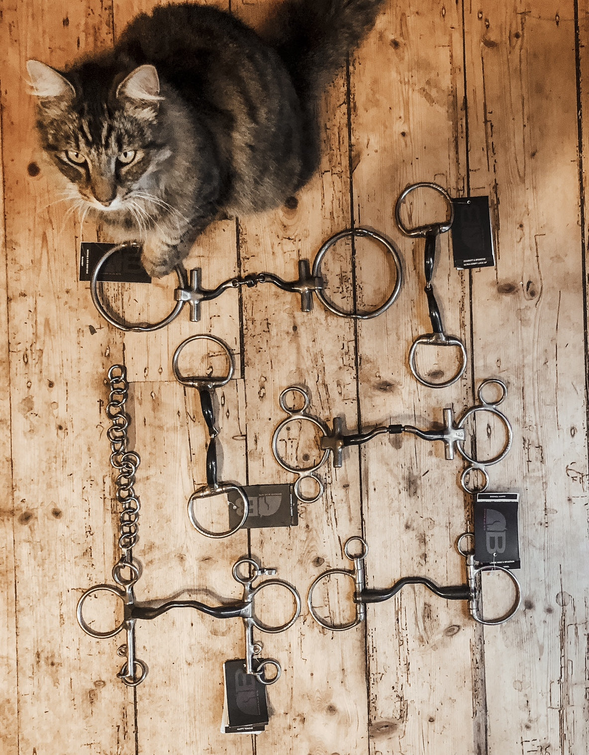 Shop for Bomber bits online, specialising in polo and polocrosse horse bits. 