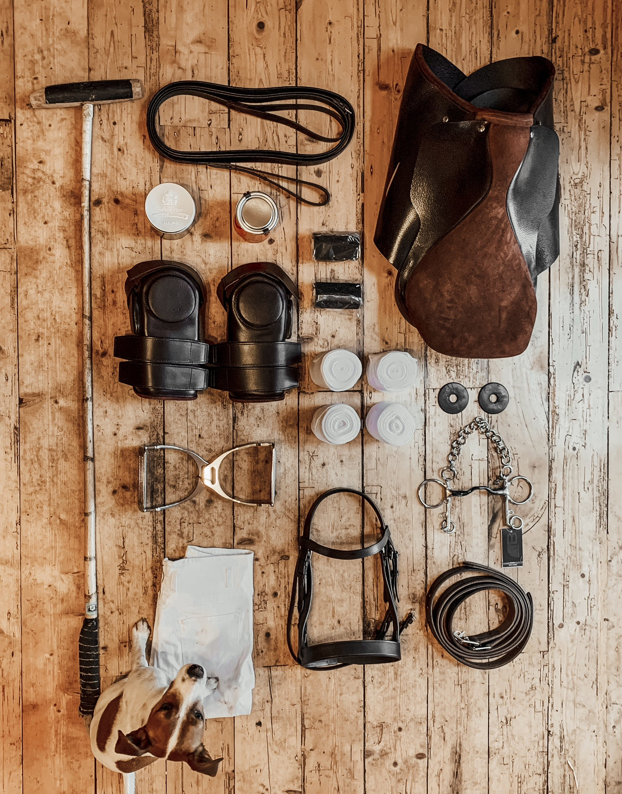 Buy the best polo gear online in Australia. 