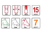 Barrie Gag - Barry Gag