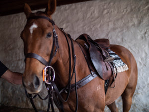 Argentine polo saddle blanket