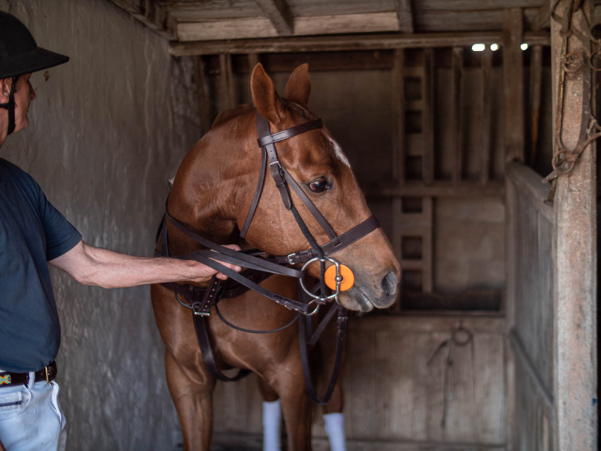 Bombers Polo Bridle - Quality Leather Full Bridle: Double Reins & Martingale