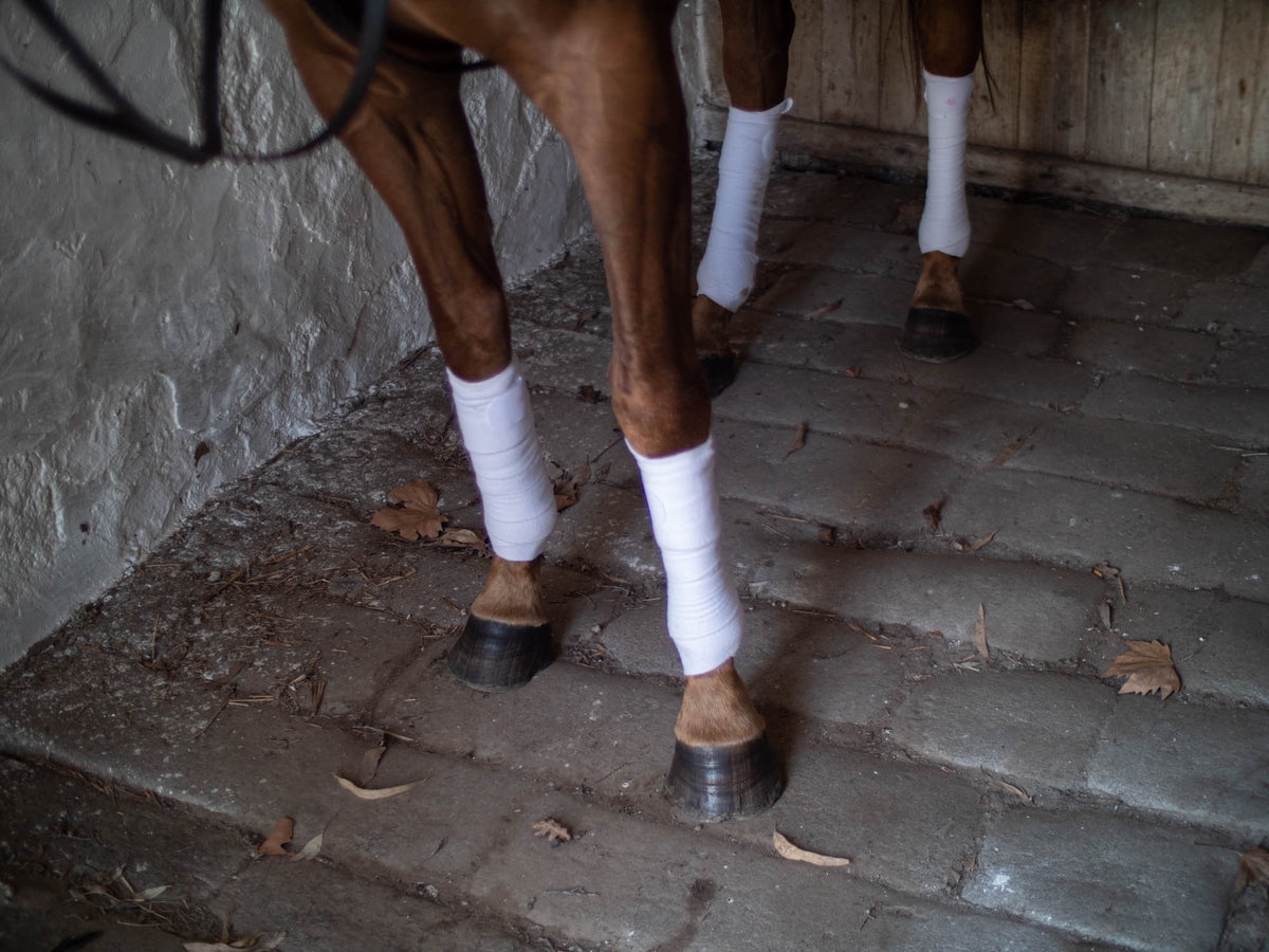 Bombers Polo Wraps - Black or White