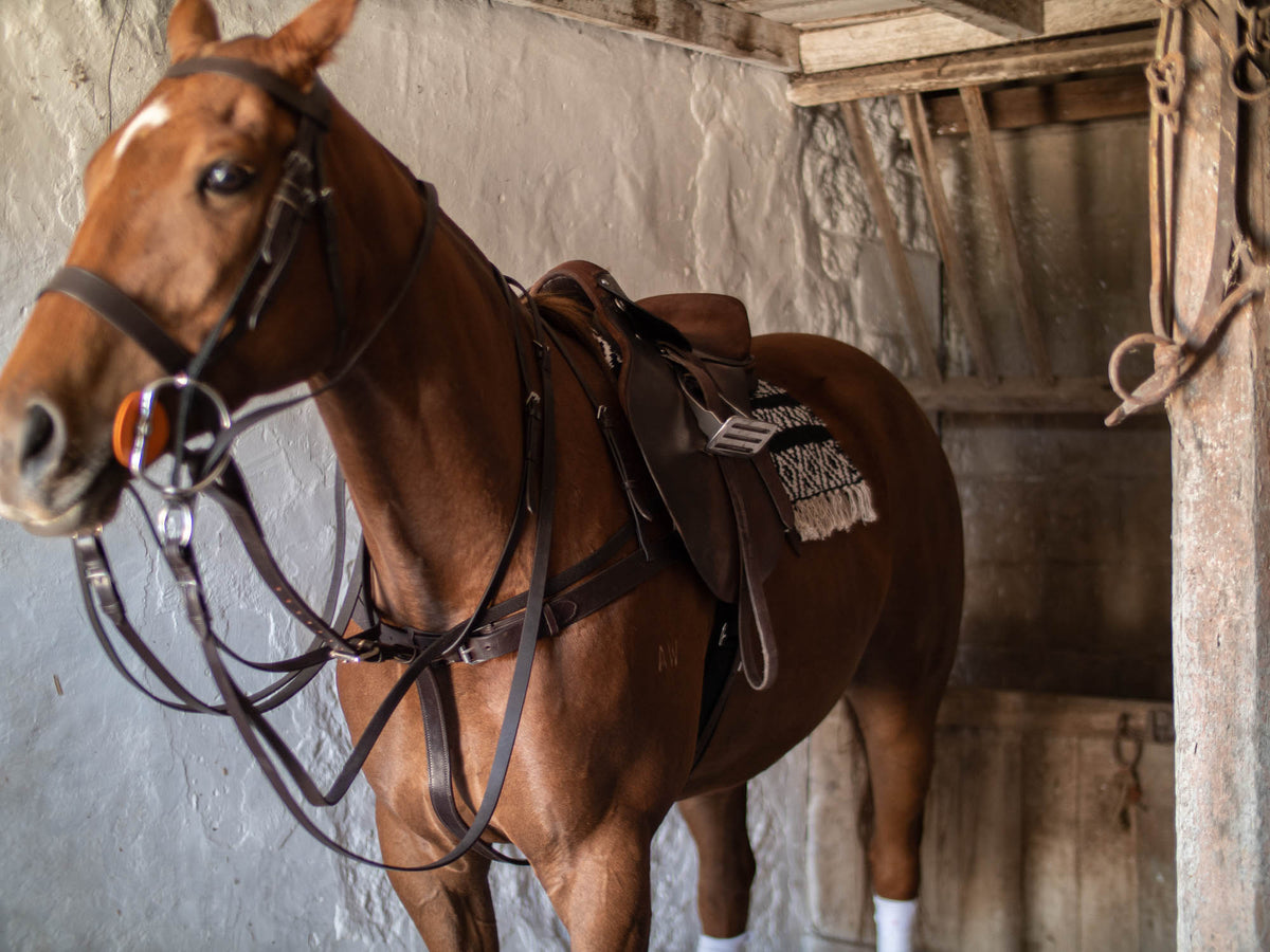 Bombers Polo Bridle - Quality Leather Full Bridle: Double Reins & Martingale