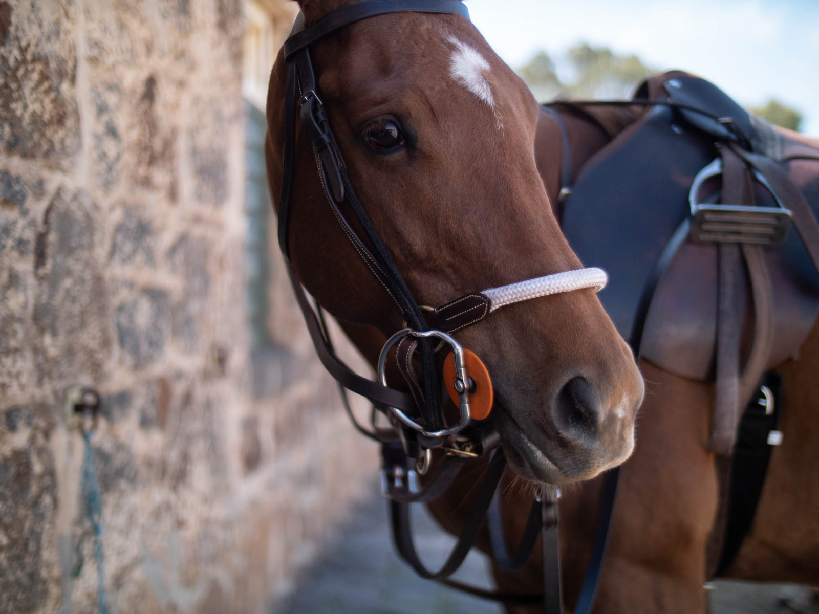 Bombers Polocrosse Rope Noseband