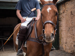 Bombers Polo Bridle - Quality Leather Full Bridle: Double Reins & Martingale