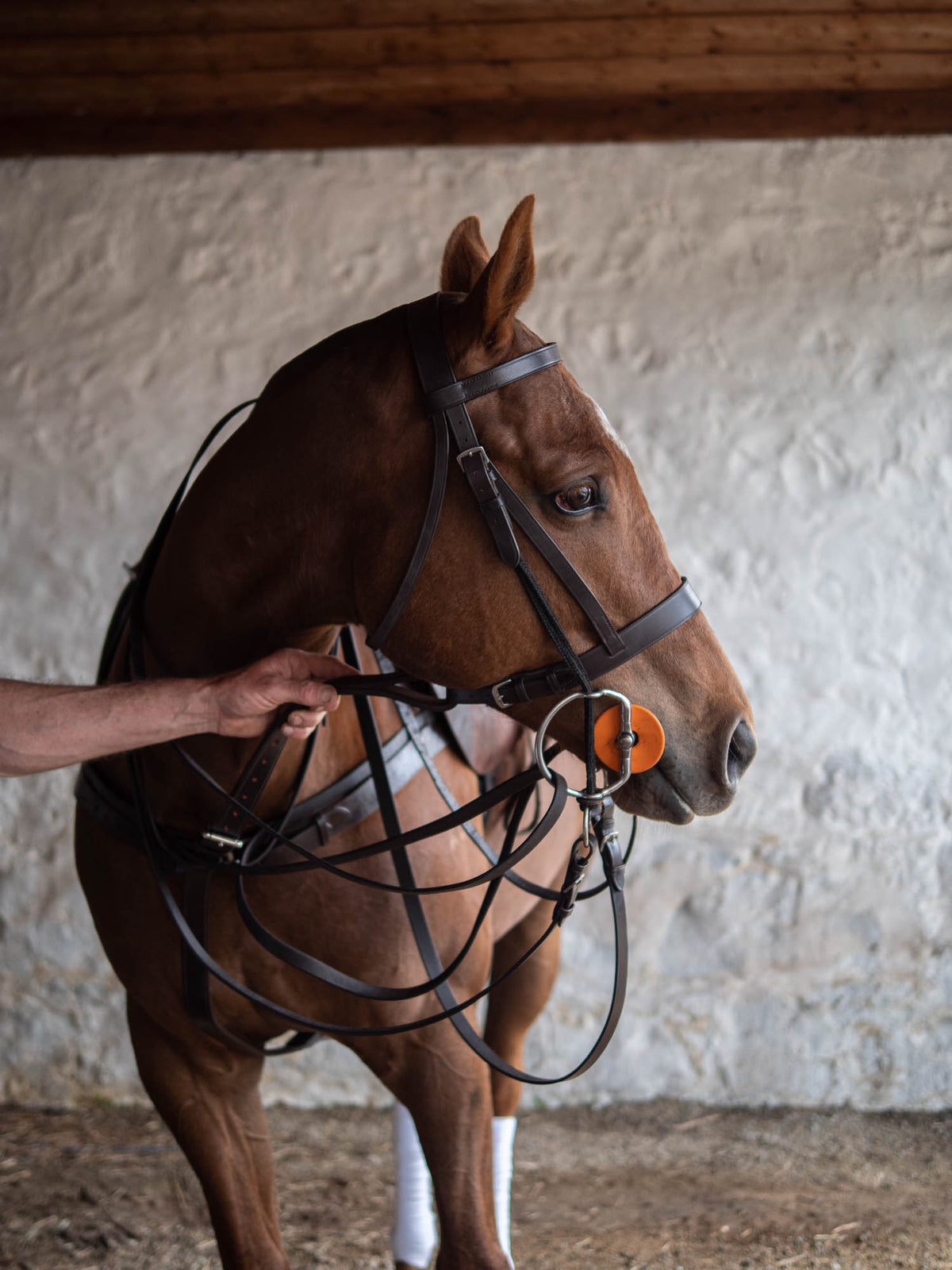 Bombers eggbutt gag polo bit