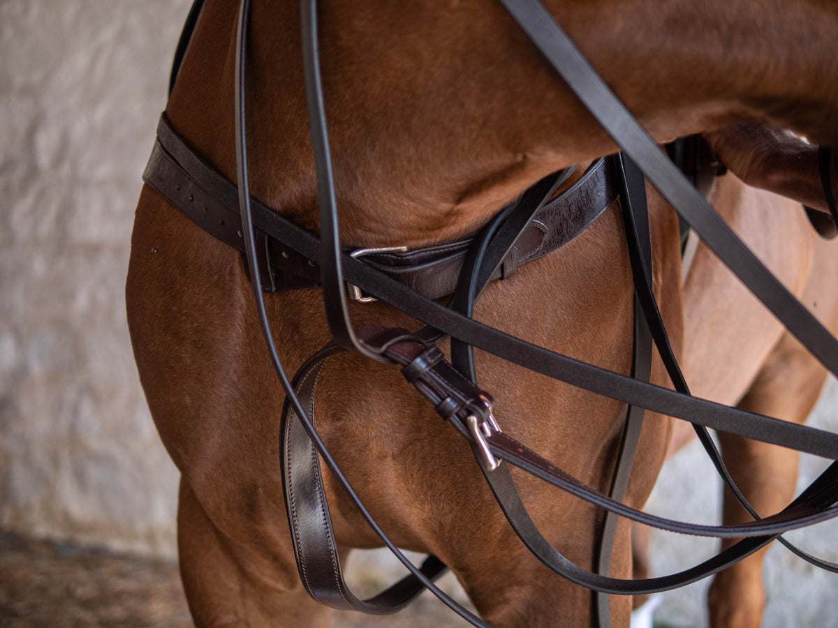 Bombers Polo Martingale