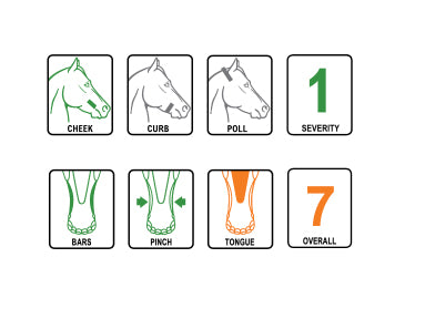 Loose ring McHardy Bomber bit for training horses