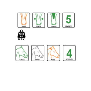 Bomber Size Guide